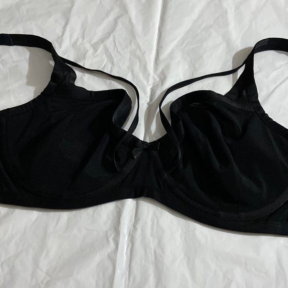 Fox& Royal - Picture 1 of 10